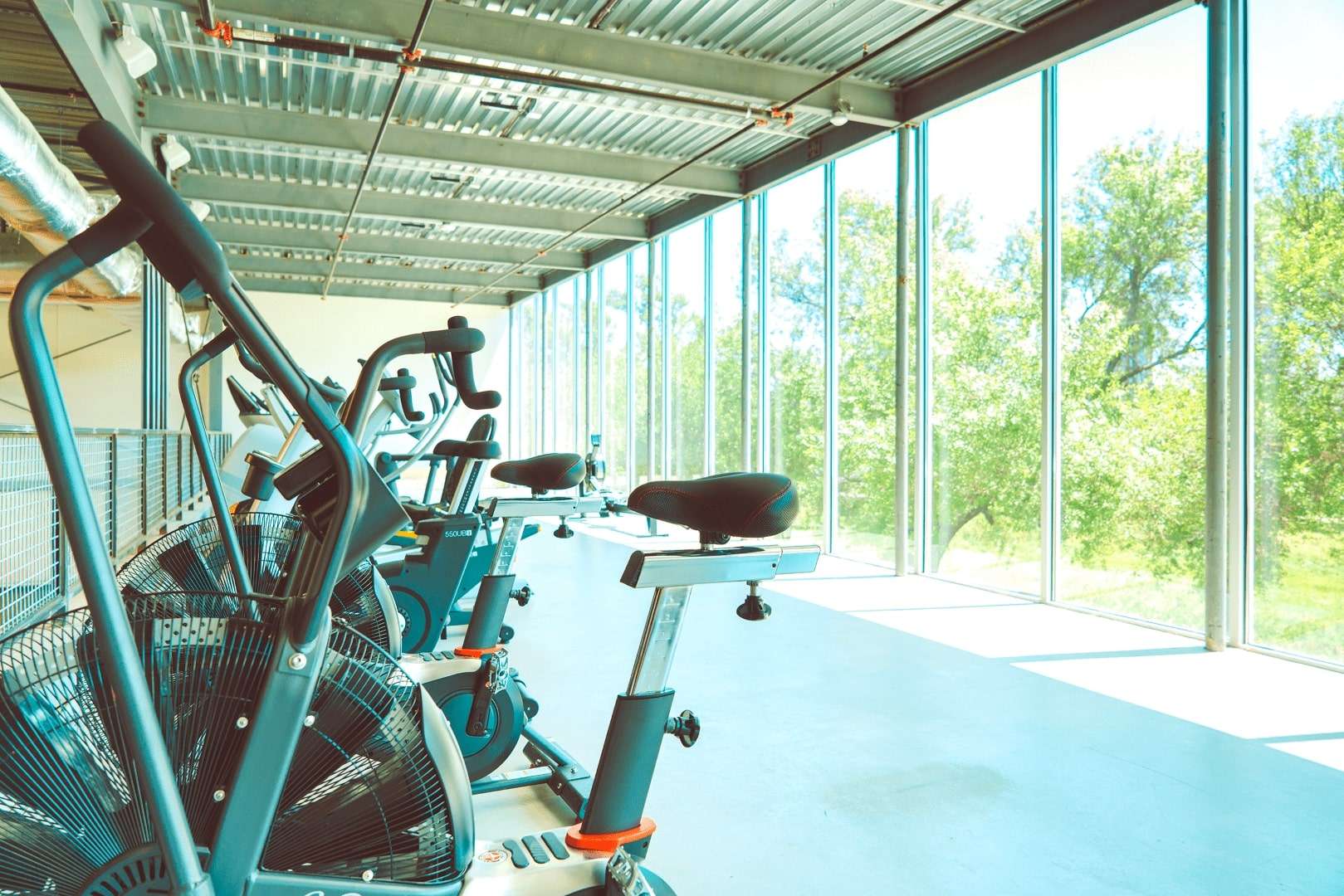 Fitness