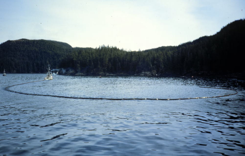 Exxon Valdez oil spill