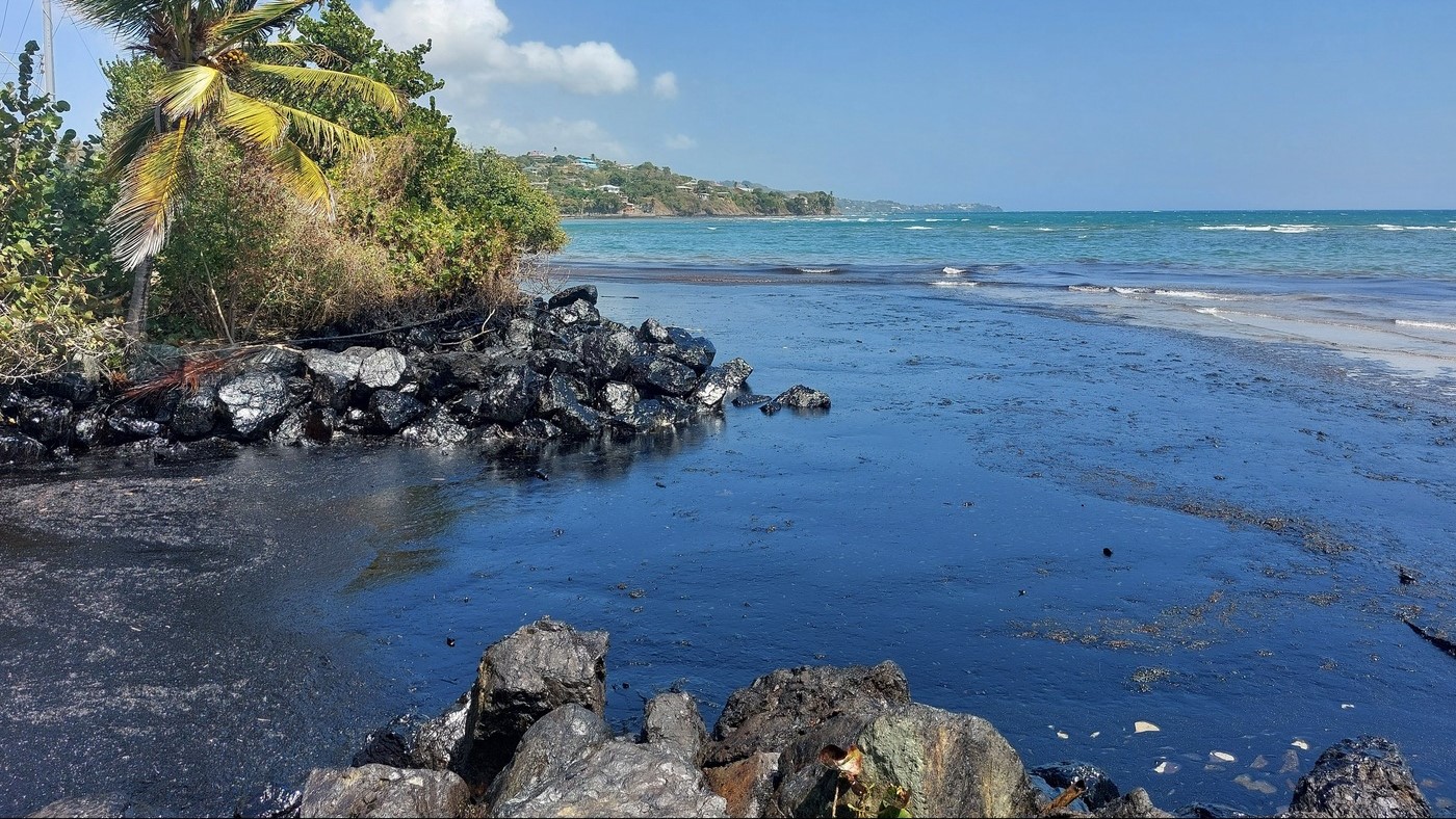 A beach in Tobago covered in thick black oil, with contaminated rocks and palm trees in the foreground. This image highlights the environmental impact of the oil spill on coastal ecosystems and the urgent need for shoreline cleanup efforts.
