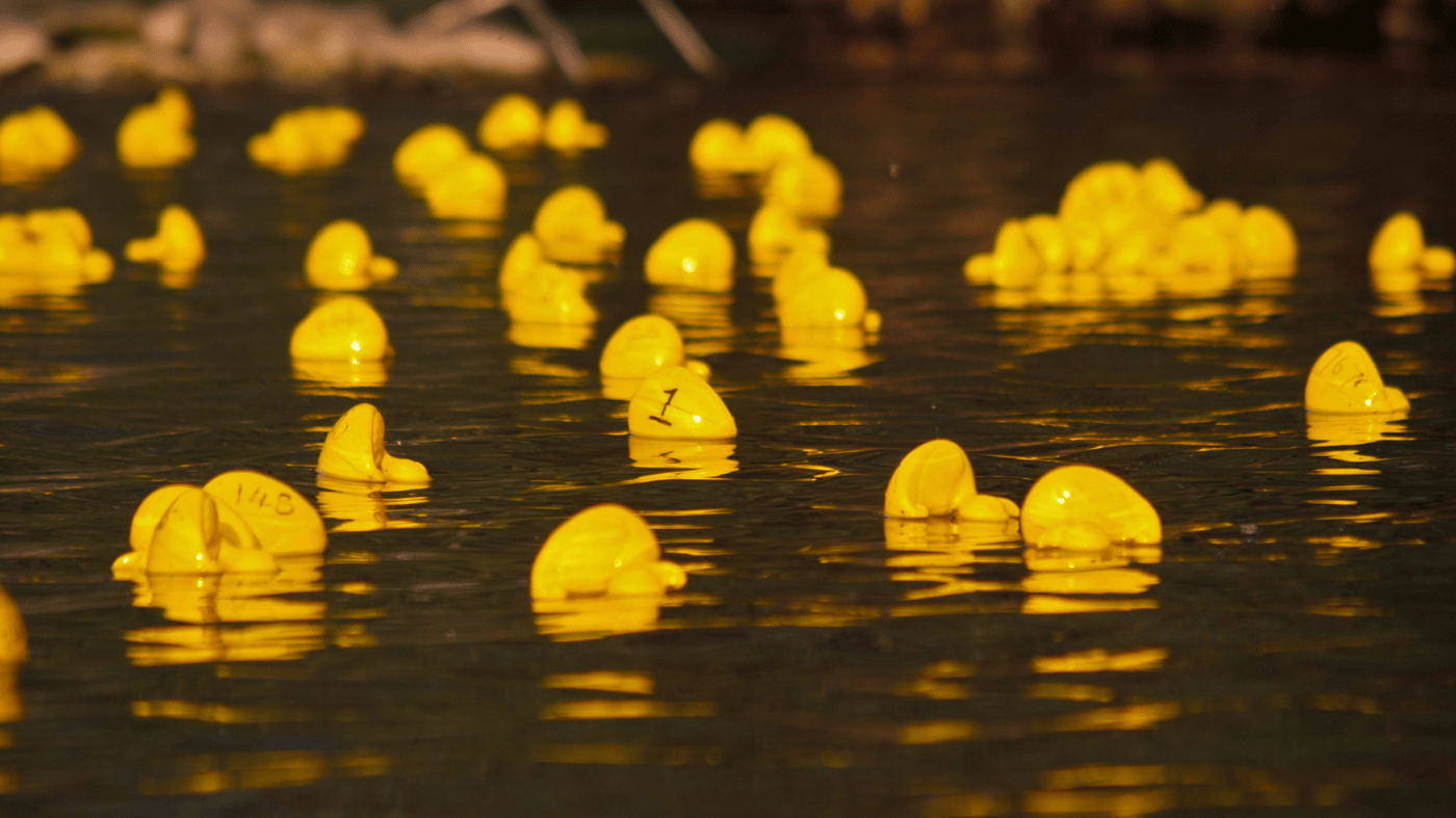 The image demonstrates how plastic waste, including everyday items like plastic toys, can persist in water bodies for years. It represents the global challenge of plastic pollution and its unintended consequences on ocean ecosystems.