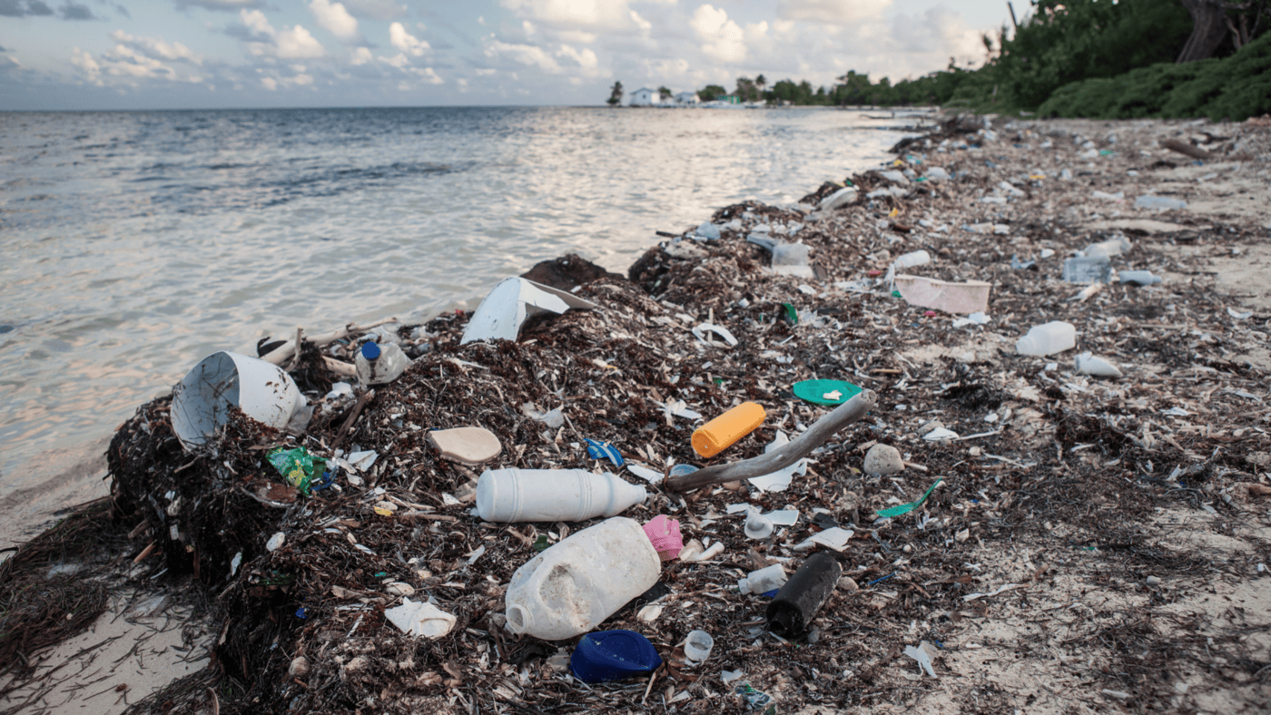 This image highlights the severity of plastic pollution, with various discarded plastic items washed up on the beach. It serves as a stark reminder of the long-lasting environmental impact of plastic waste in marine ecosystems.