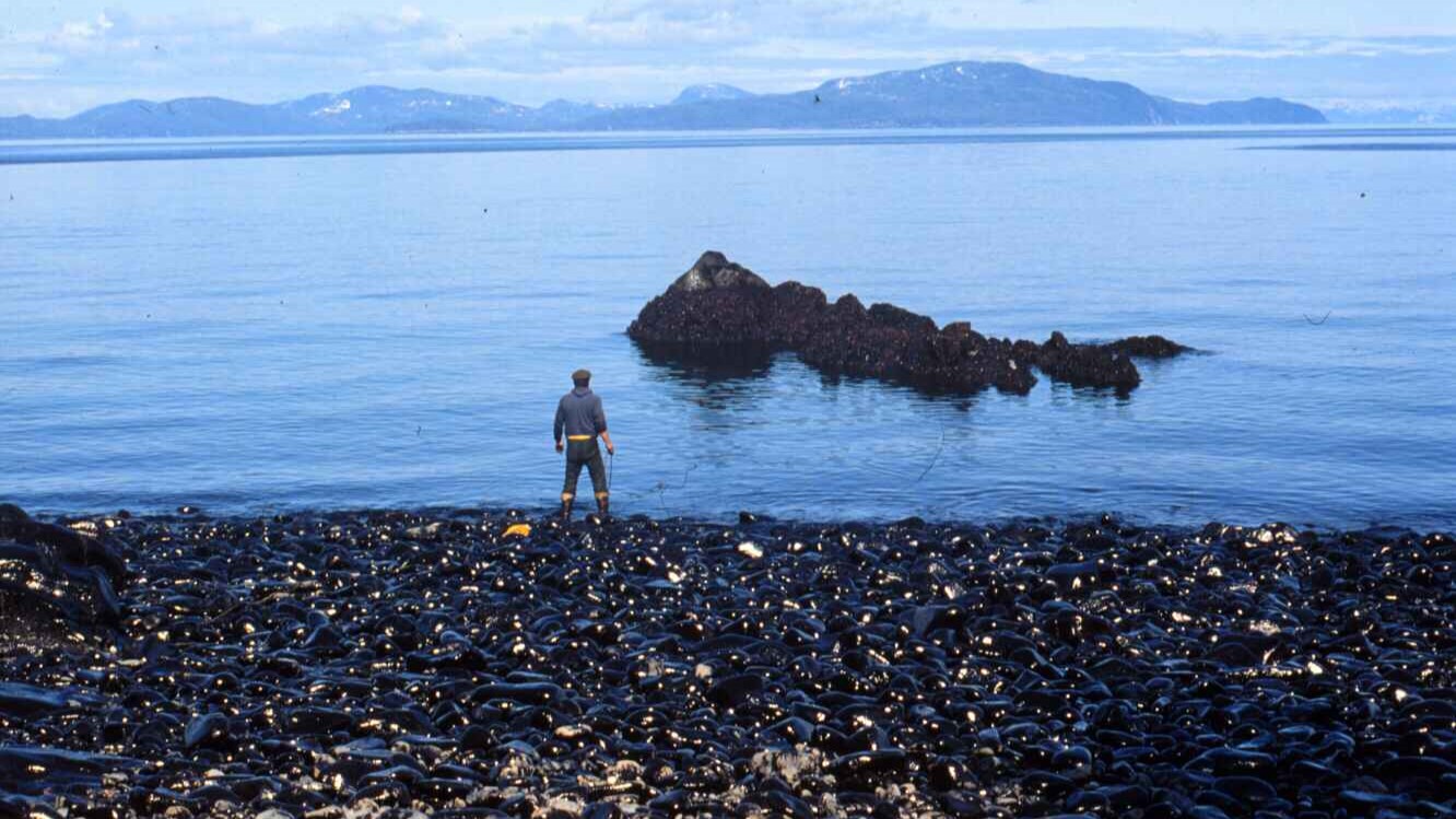 A shoreline covered in thick oil deposits with a responder surveying the contamination. The oil-covered rocks illustrate the environmental devastation caused by the Exxon Valdez oil spill.