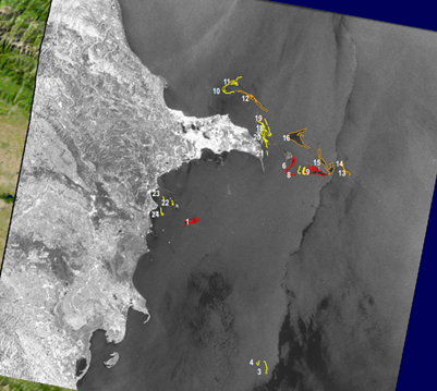 This satellite imagery, provided by MDA, demonstrates the application of advanced remote sensing technology to monitor oil spills. The imagery is used to map spill extents, track movement, and assess environmental impact, aiding in strategic decision-making during spill response operations.