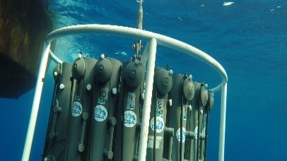 A cylindrical water column sampler suspended in the ocean, designed to collect multiple water samples at different depths. It is an essential tool for environmental assessments in oil spill response.