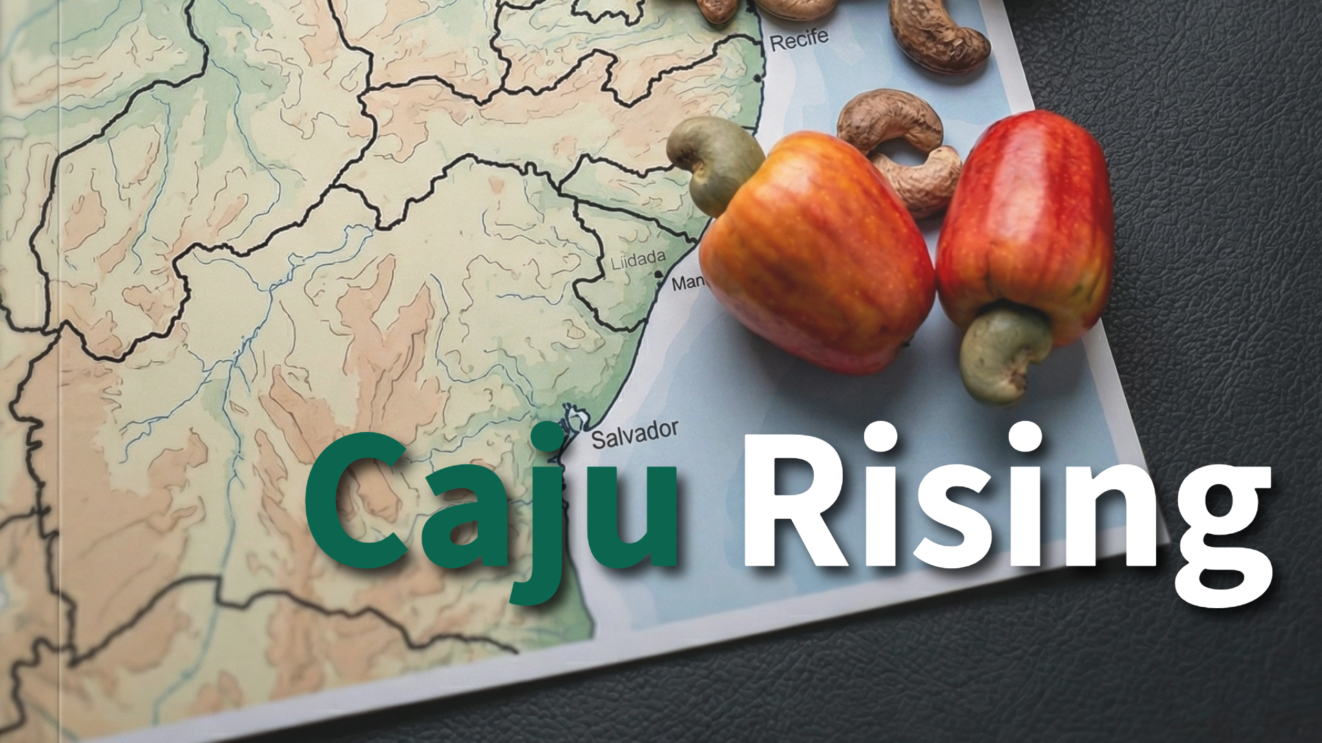 Cashew Belt