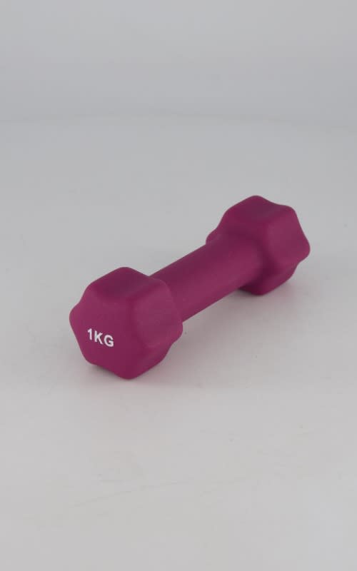 OTG 1KG Dipping Dumbbell