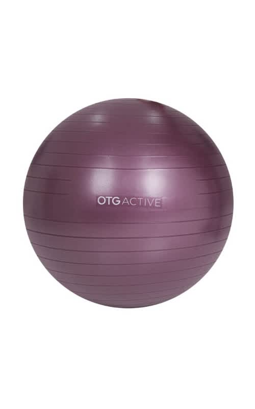 OTG 65cm Anti-Burst Gym Ball