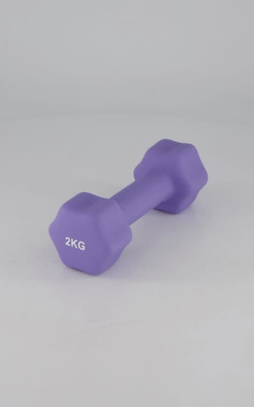 OTG 2KG Dipping Dumbbell