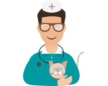 Assurance Et Mutuelle Persan Otherwise