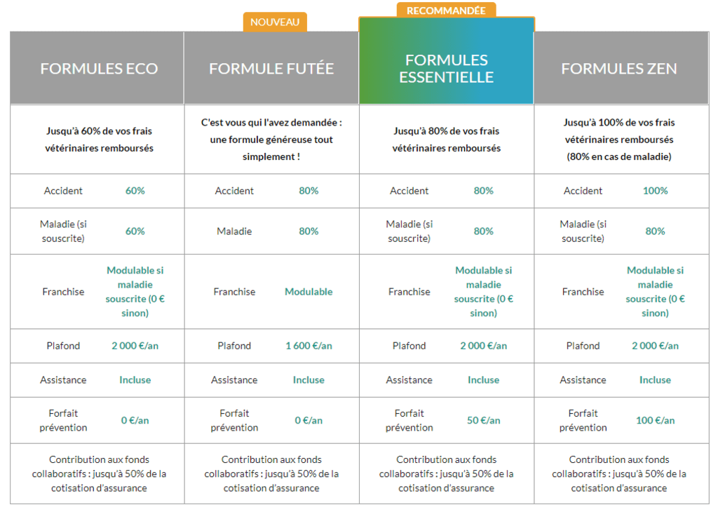 Assurance Et Mutuelle Chat Otherwise