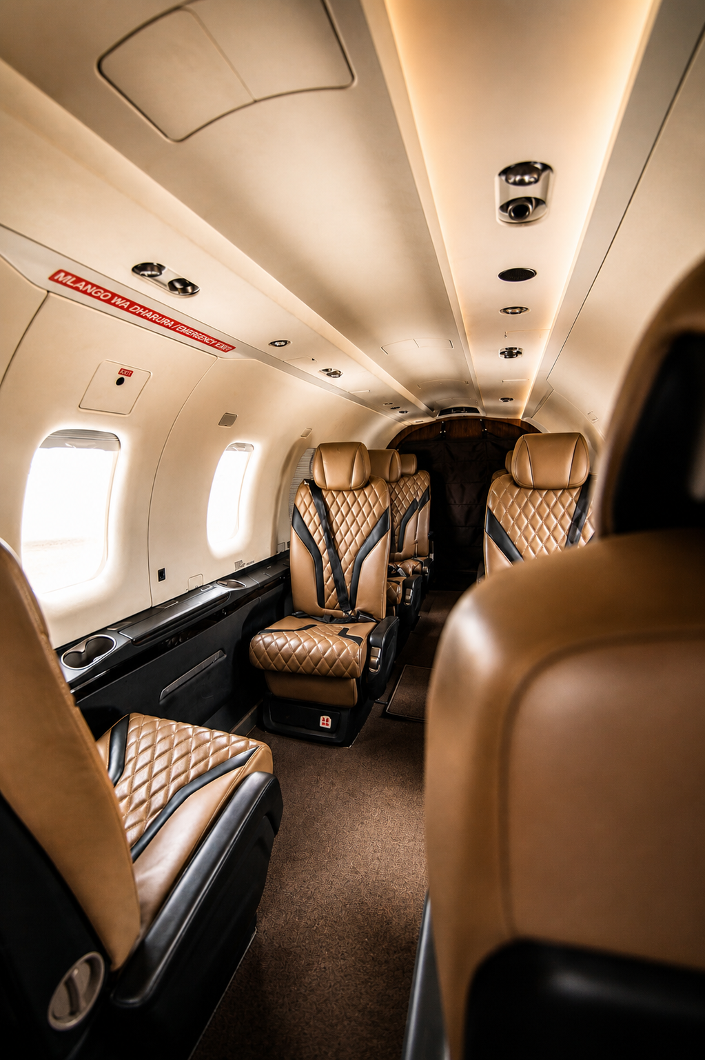 Pilatus PC 12 photo 6