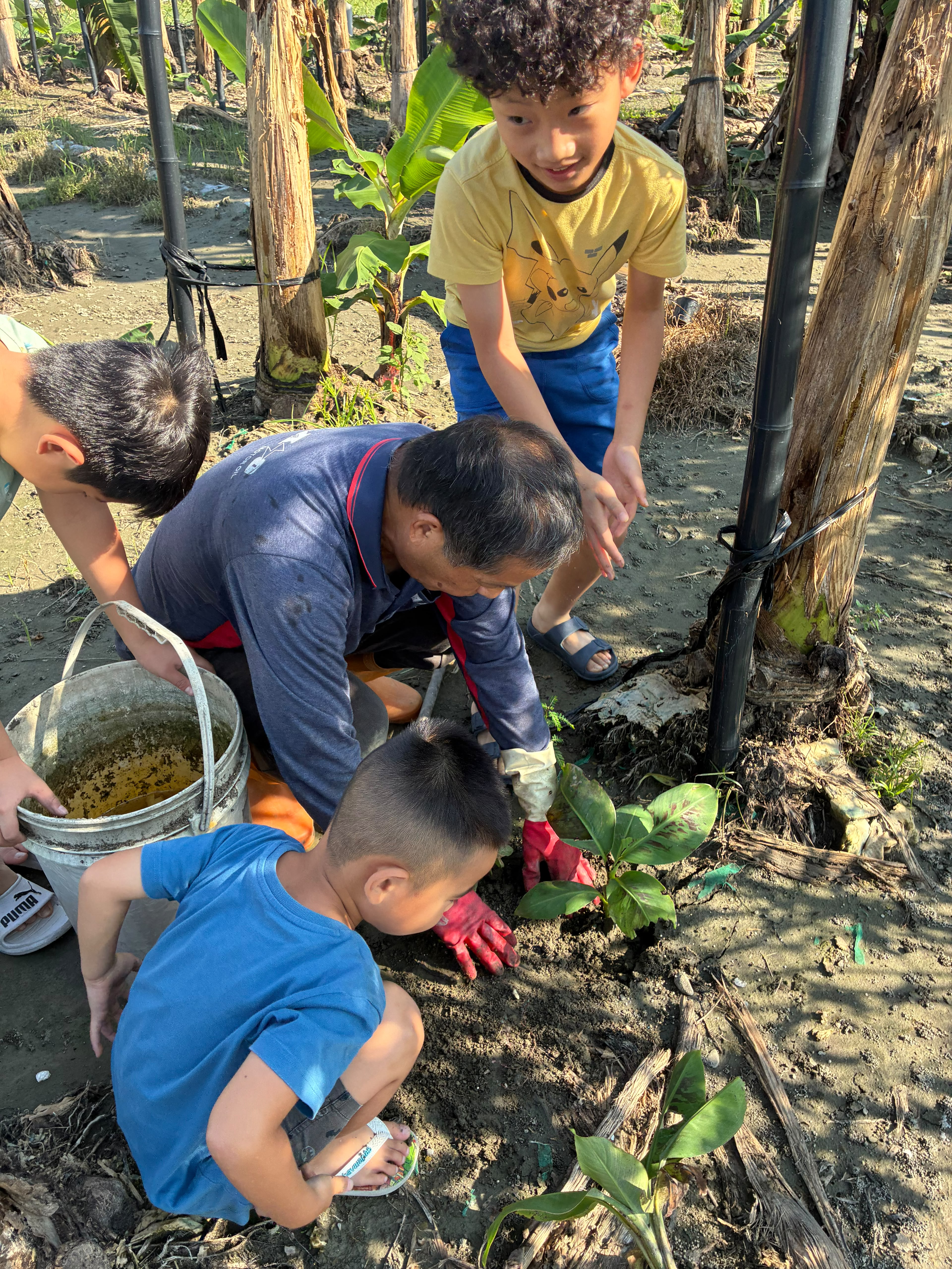 Seeds for Change in Taiwan project photo 1