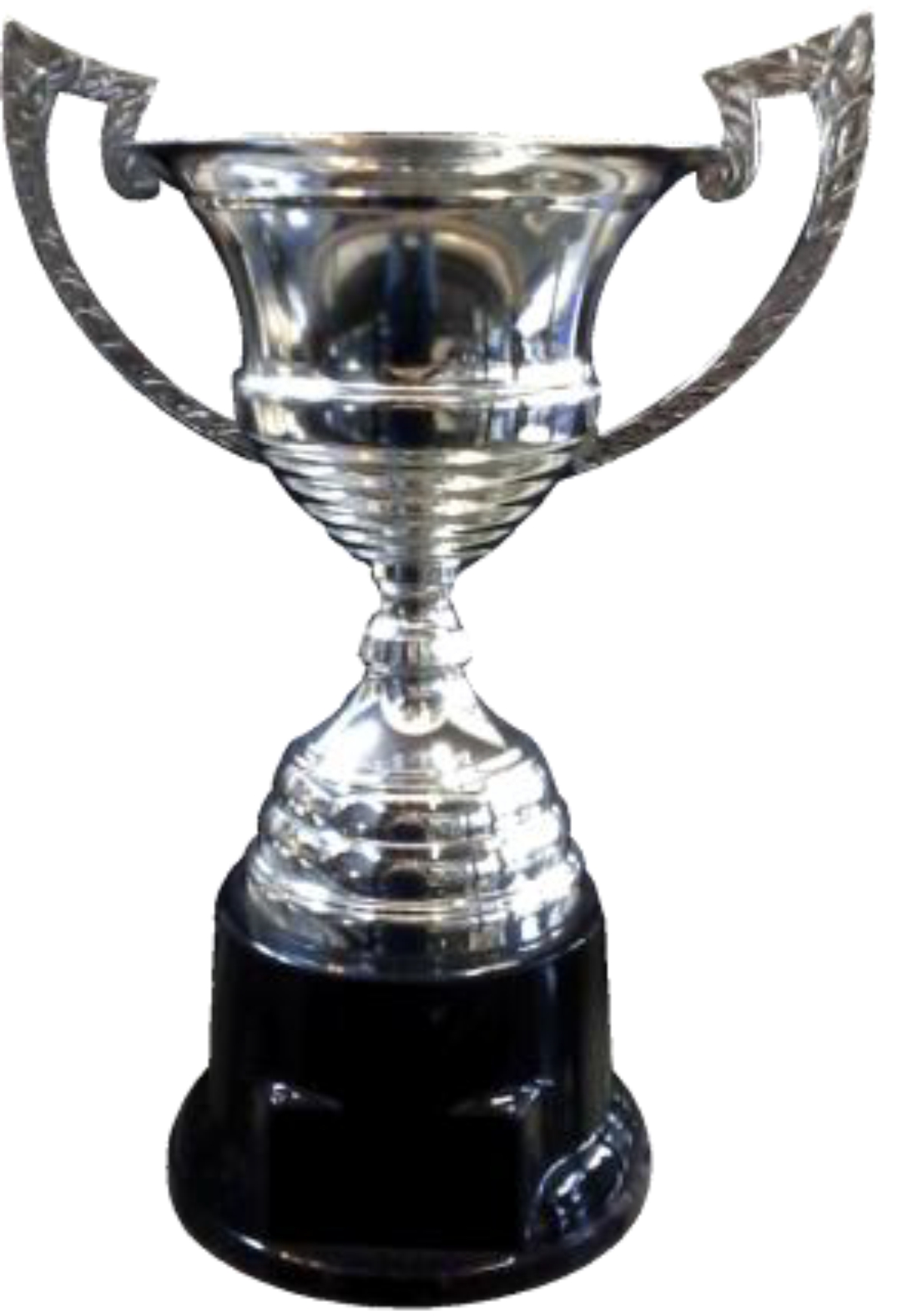Copa Metálica con Asas Modelo 210