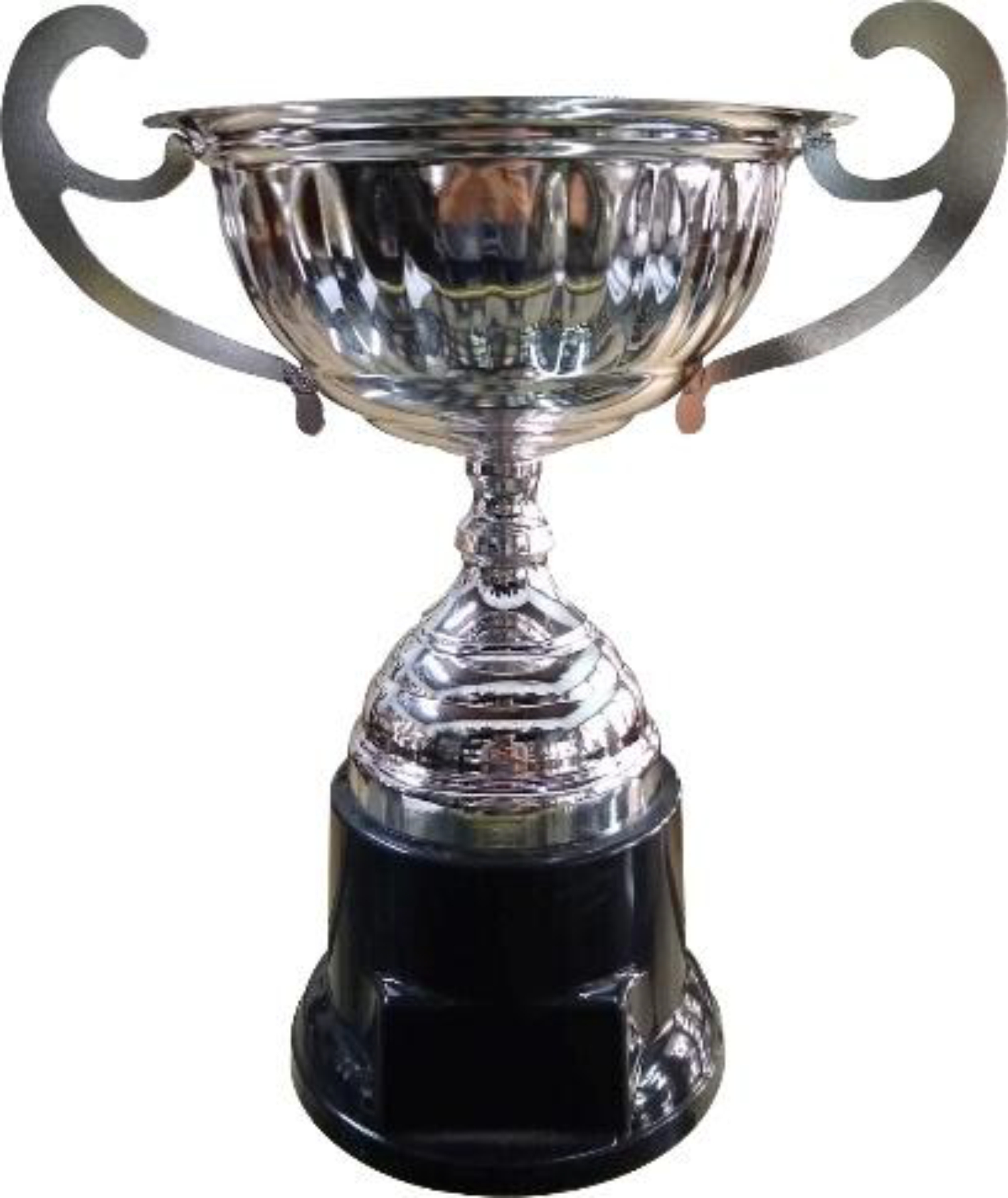 Copa Metálica con Asas Modelo 250