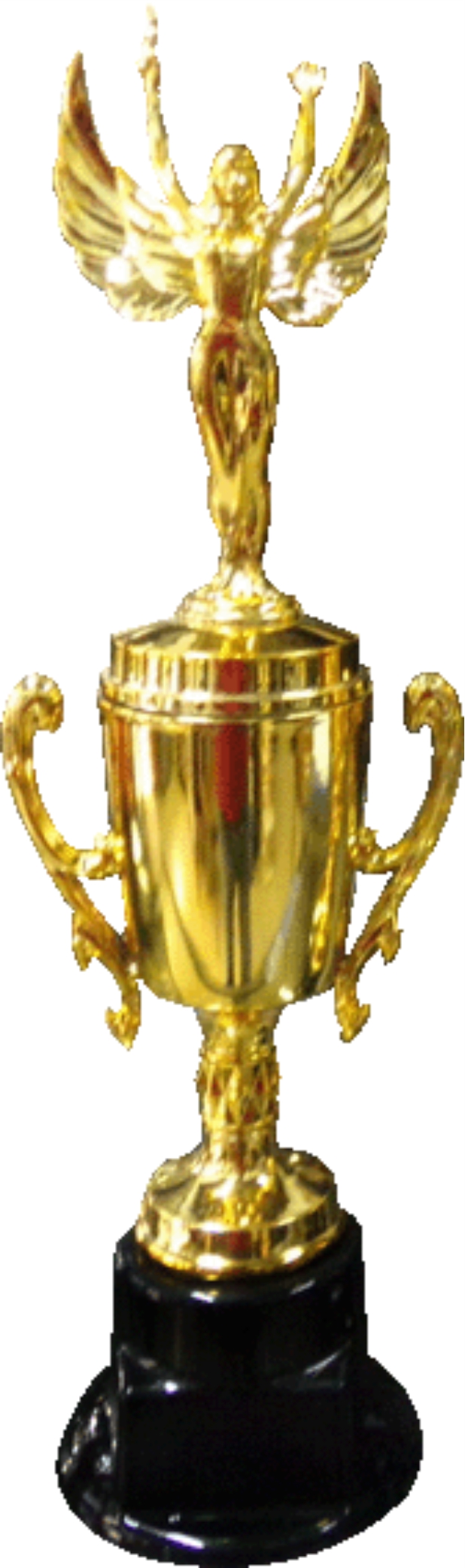 Trofeo Modelo Copa Americana