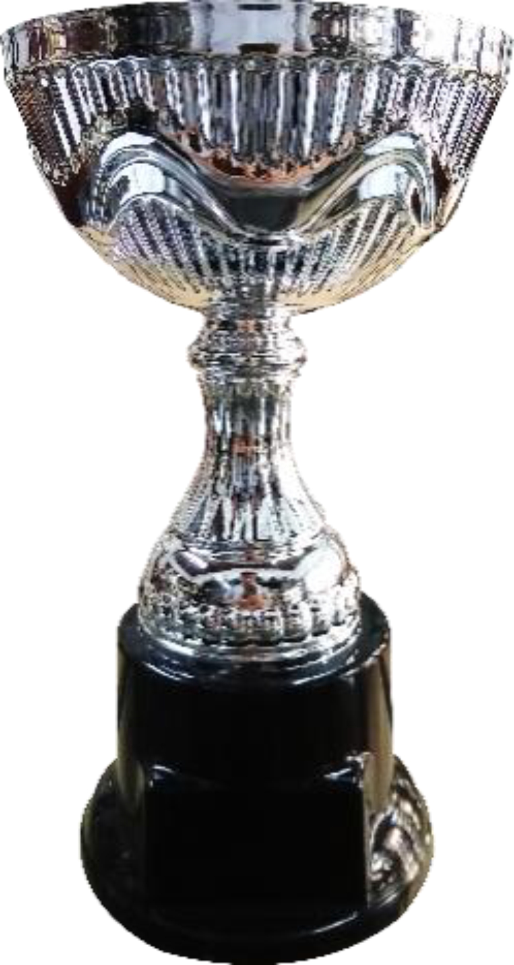 Copa Metálica Modelo Andina
