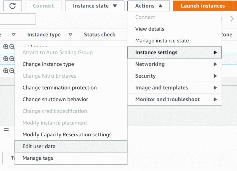 Setting user data for the agent