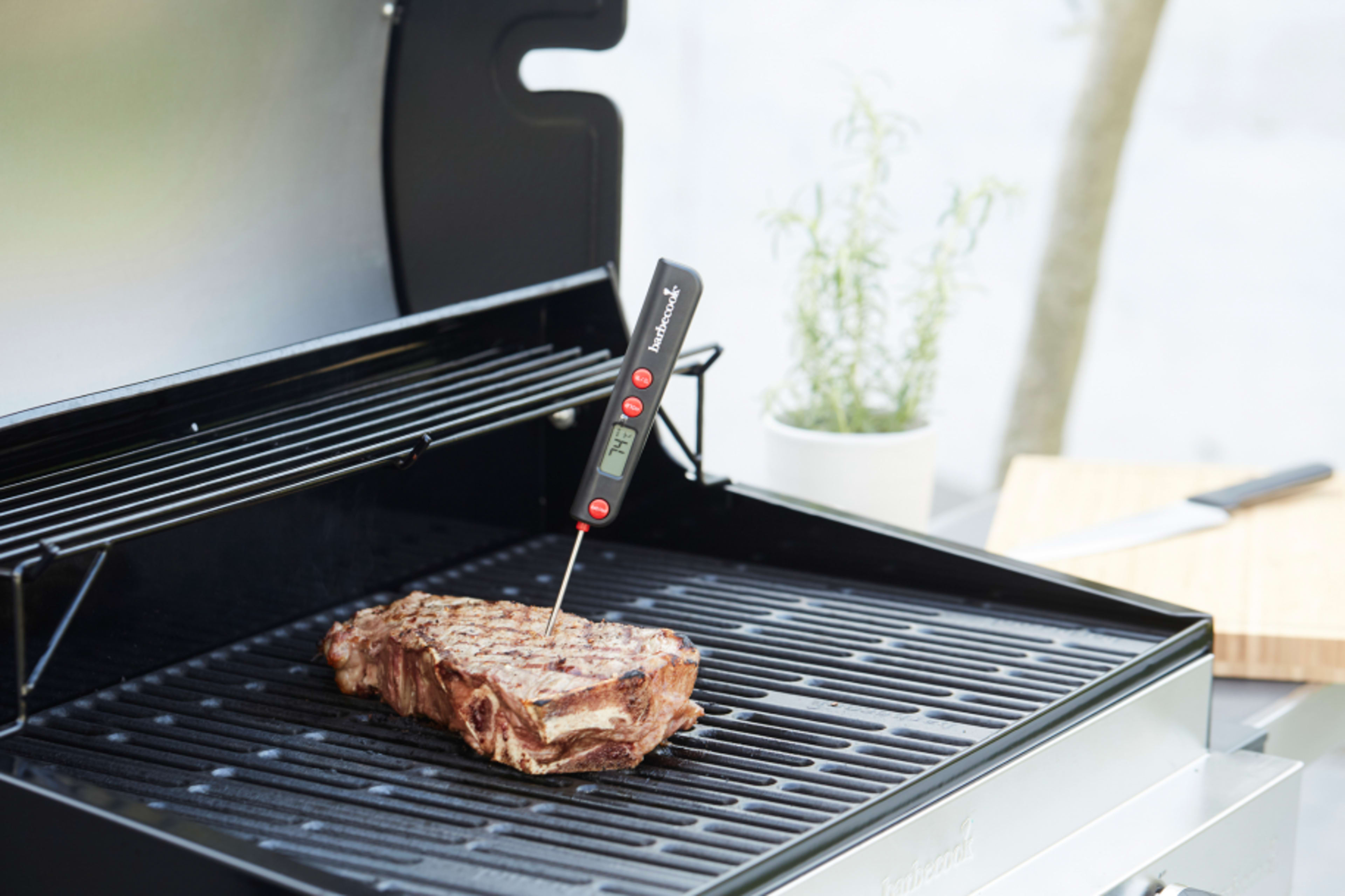 Digital pocket thermometer
