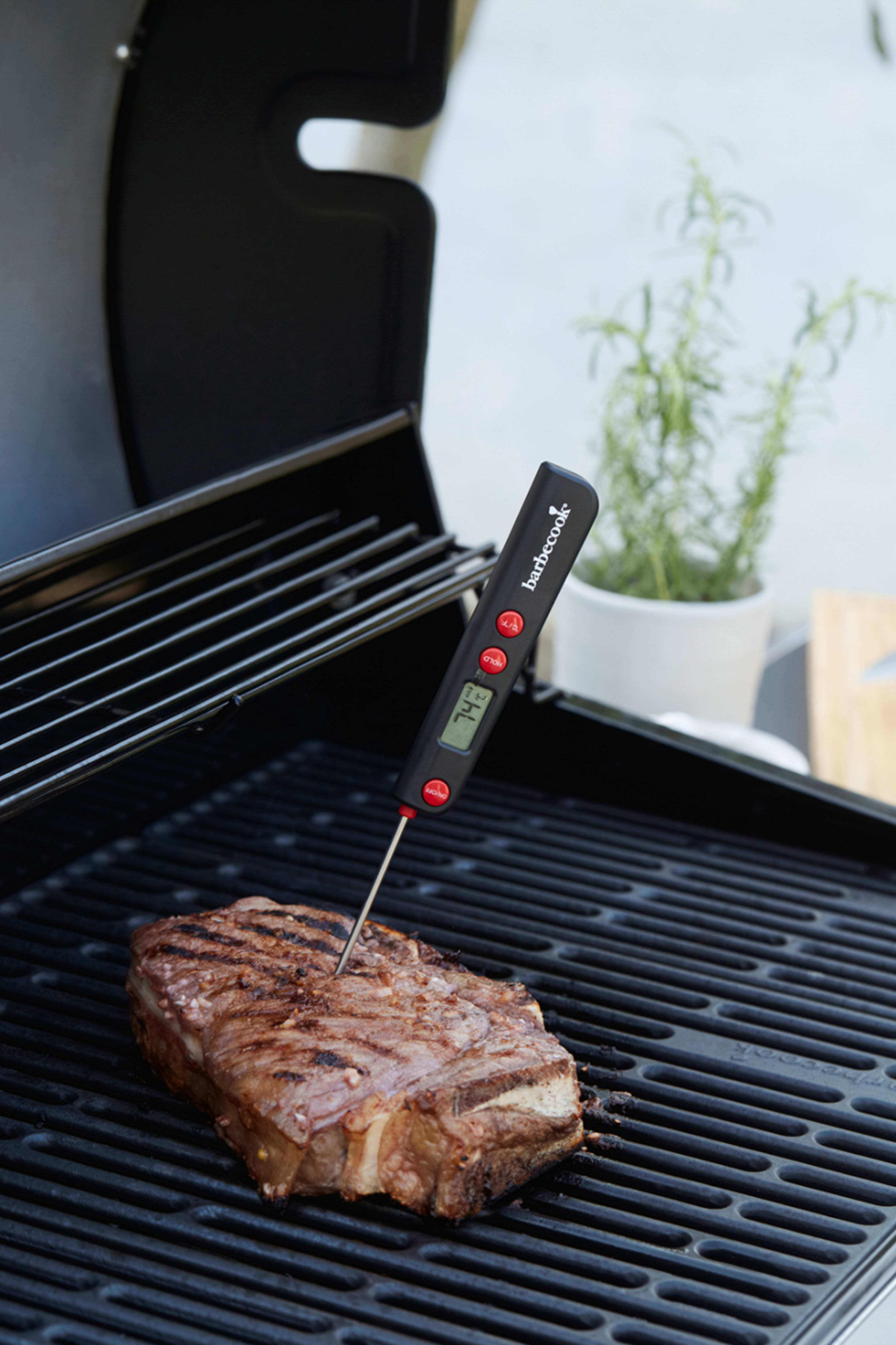 Digital pocket thermometer