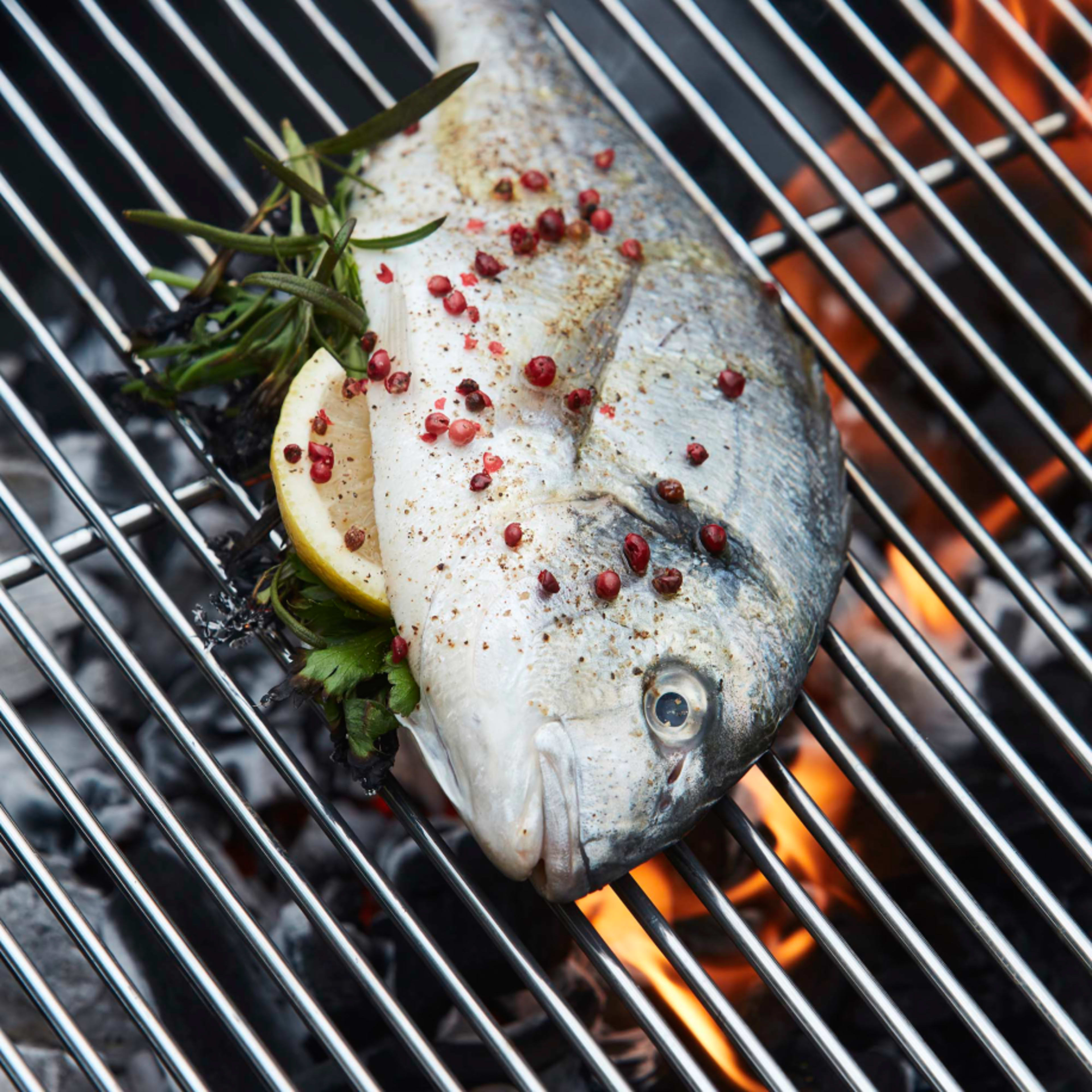 Professional cooking grill 70x40cm FSC®