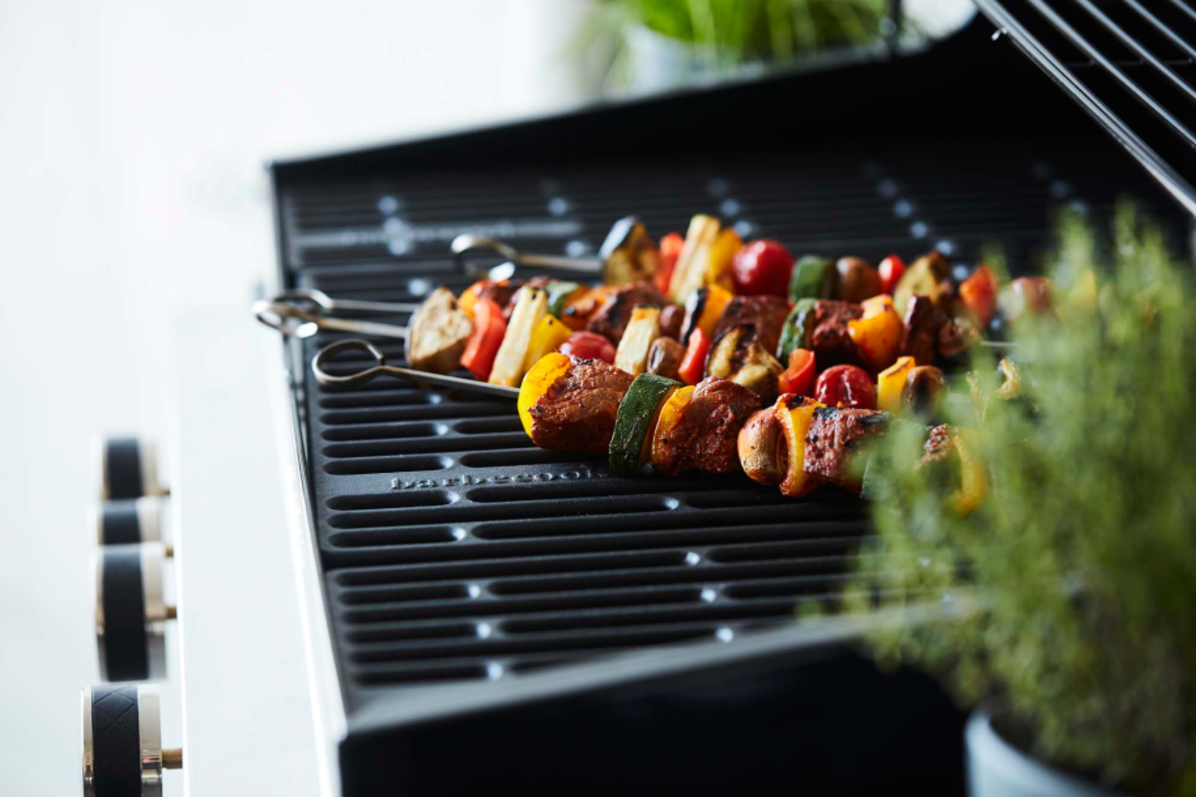 Set of 10 stainless steel skewers