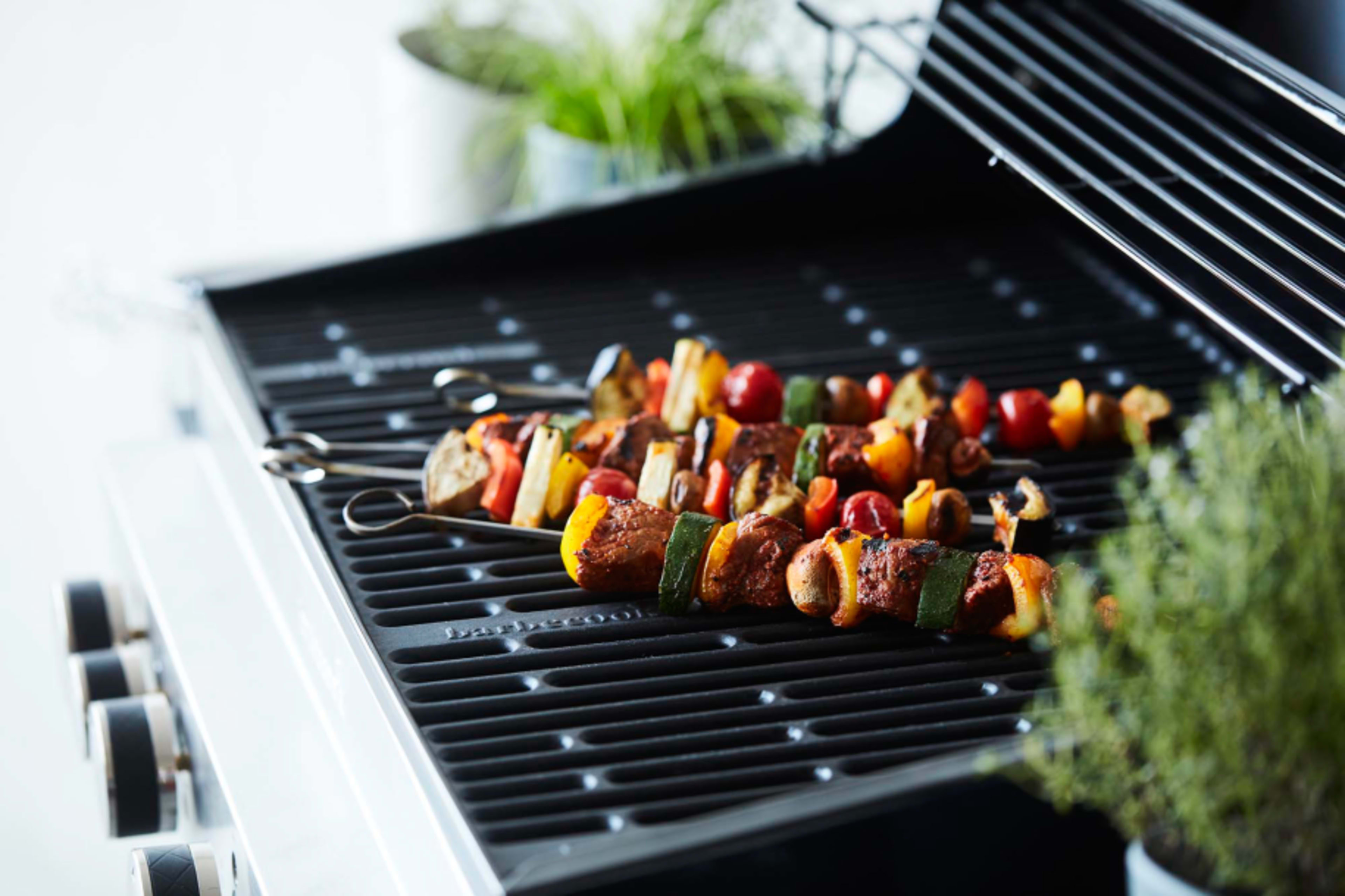 Set of 10 stainless steel skewers