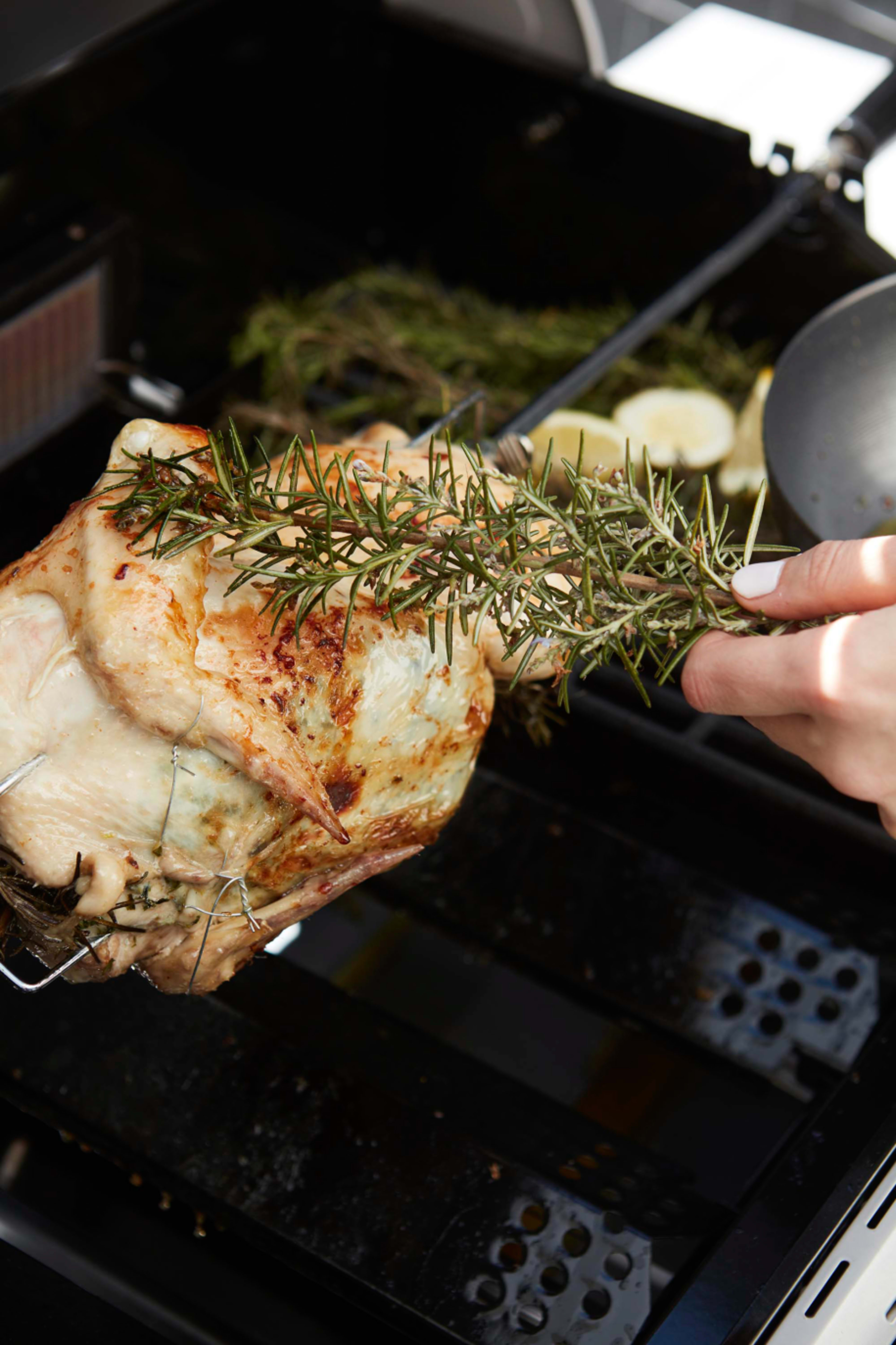Spit with 2 forks with motor for charcoal barbecue