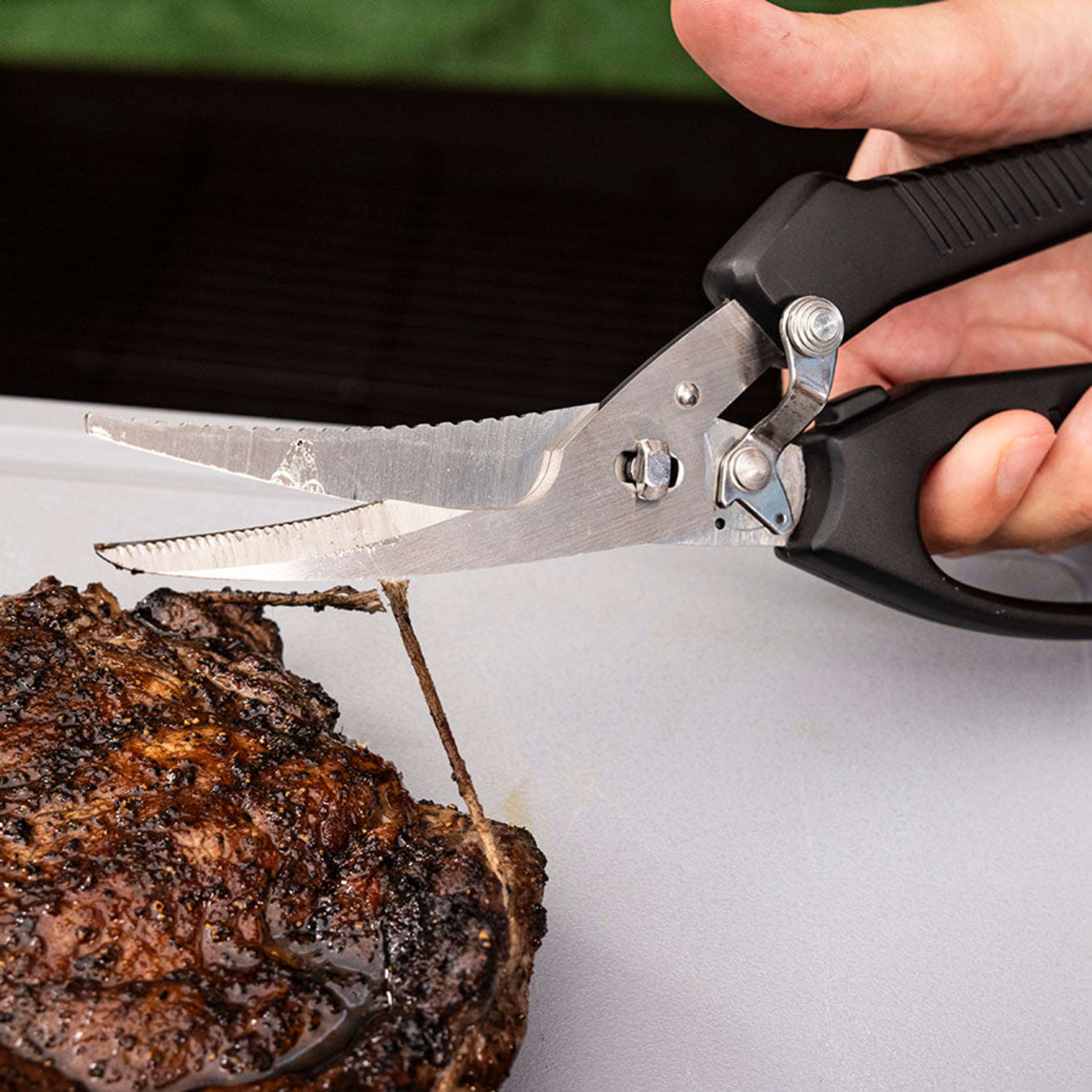 BBQ Shears