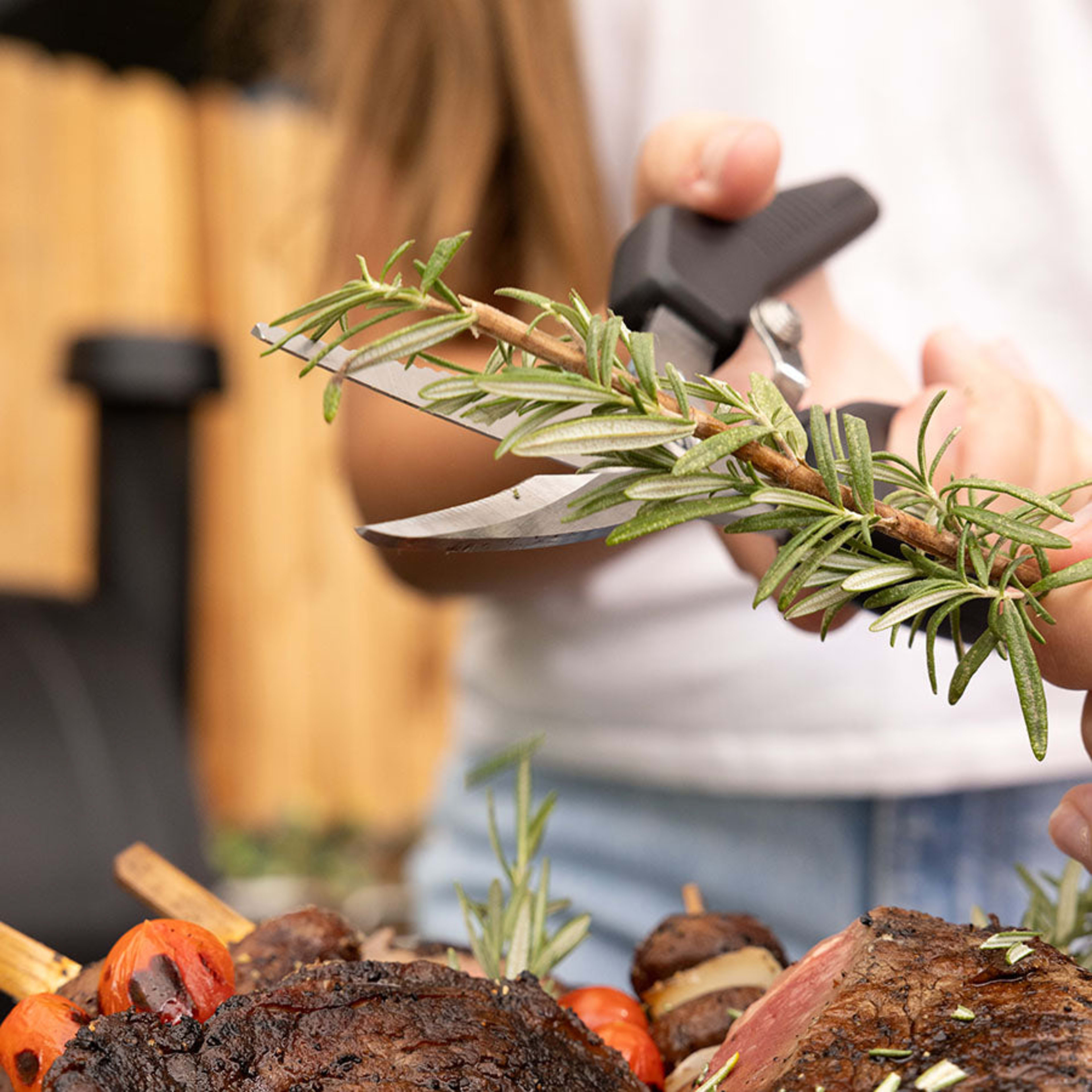 BBQ Shears