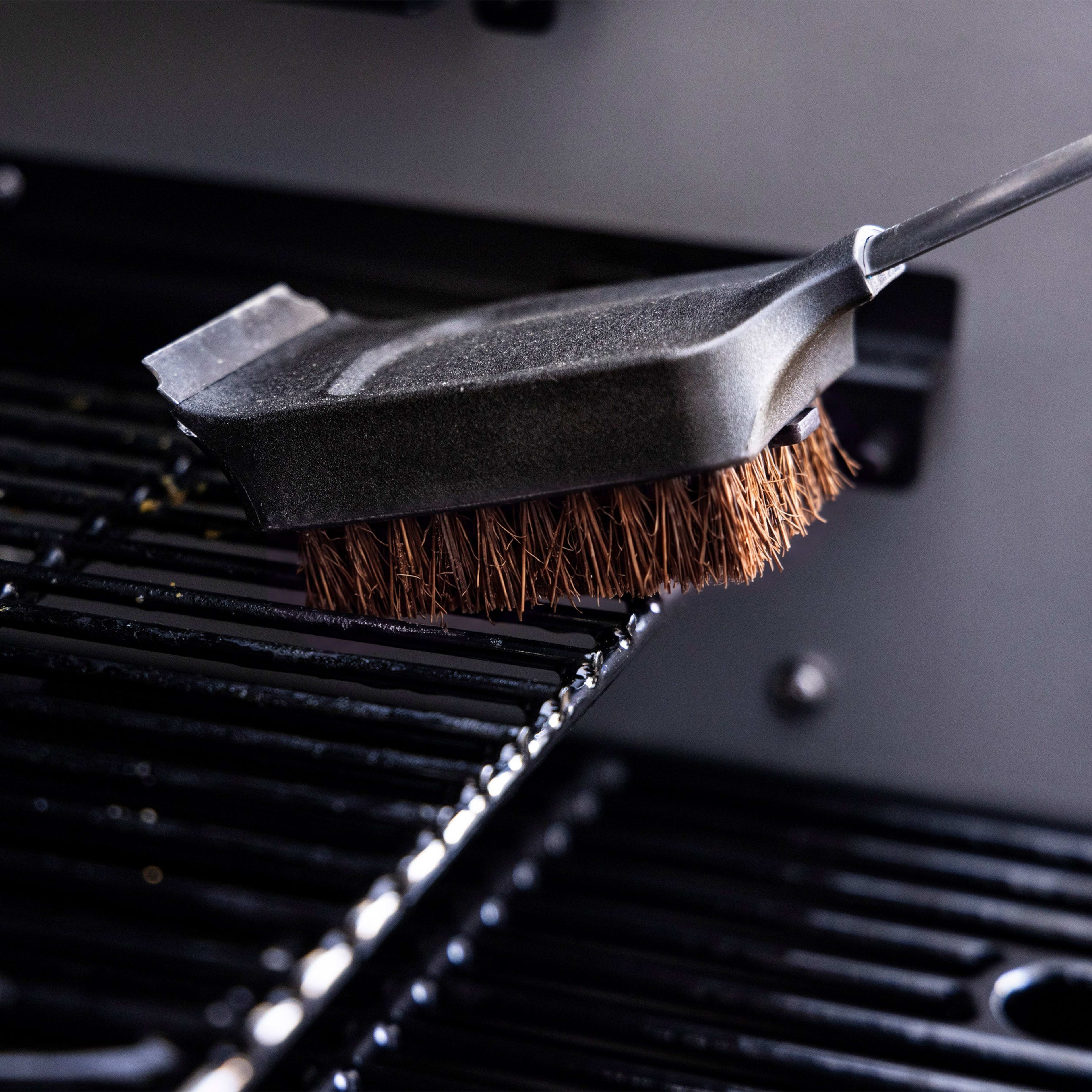 Palmyra Brush Head Replacement