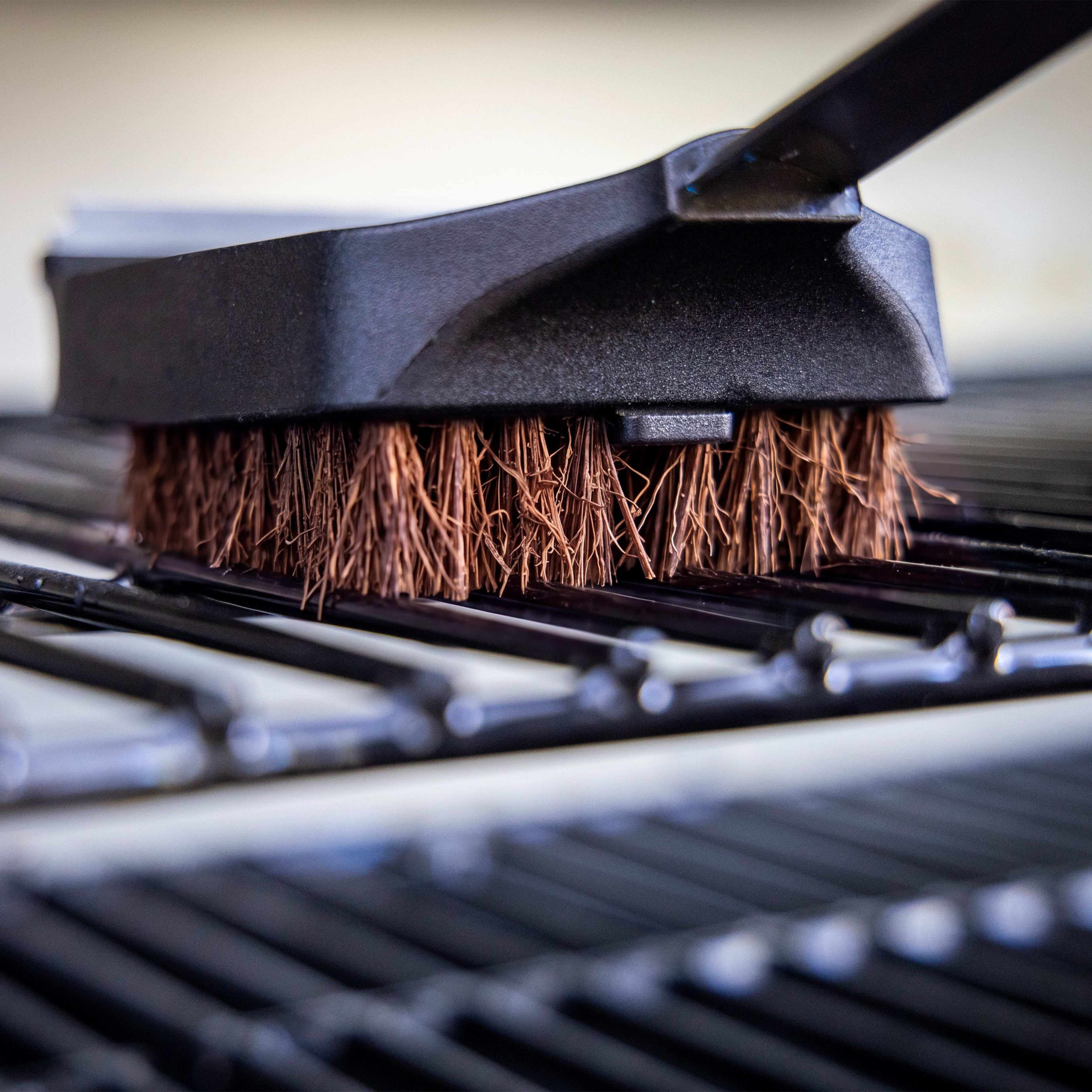 Palmyra Brush Head Replacement