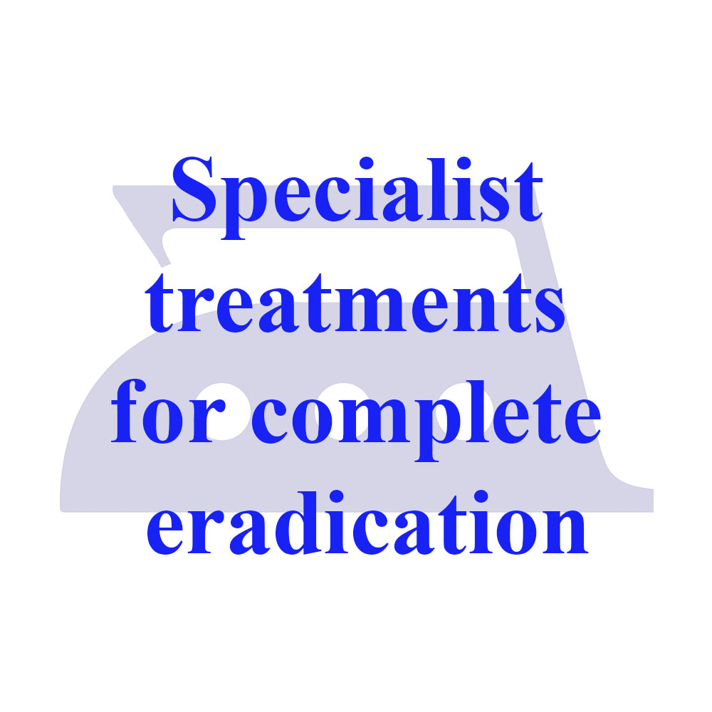 Moth Infestation Clothing Treatment Cleaners Moth Infestation Clothing Treatment Cleaners