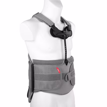 Sırt ve Omurga-50R230-107575