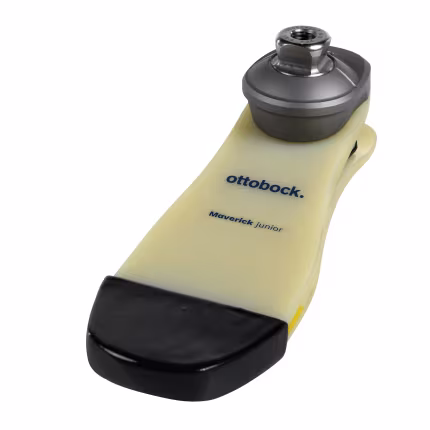 Foot prosthetics-F24-65358