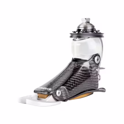 Bàn chân-1B1-2-61052