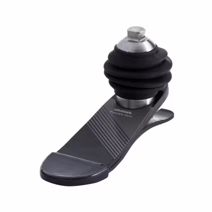 Foot prosthetics-LP2-W2-61132