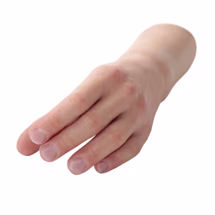Prothesenhandschuhe-88A16-61149