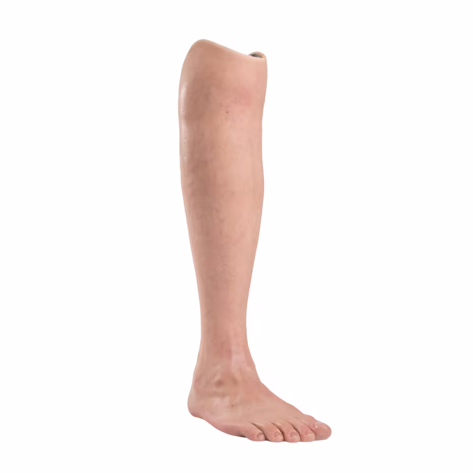 Prosthetic covers-88A20-60819