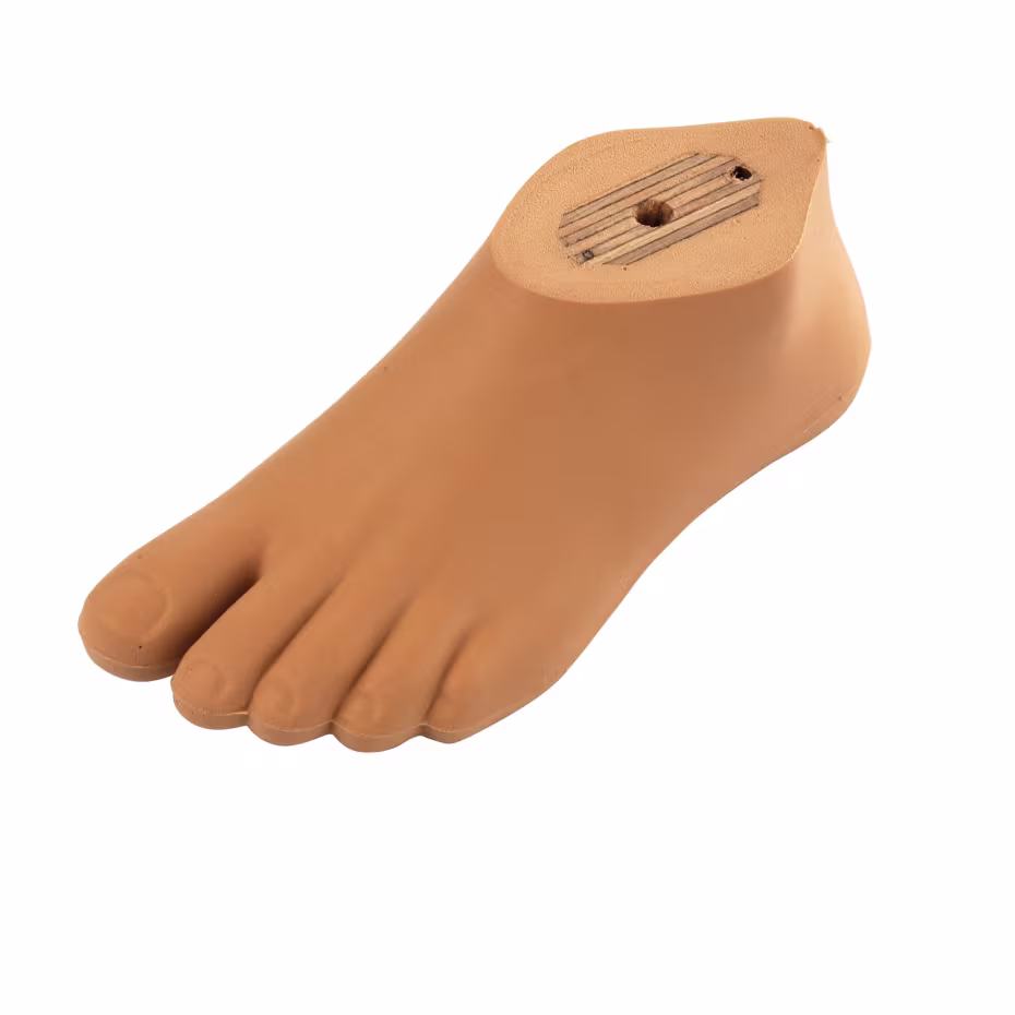 Foot prosthetics-1K10-60866