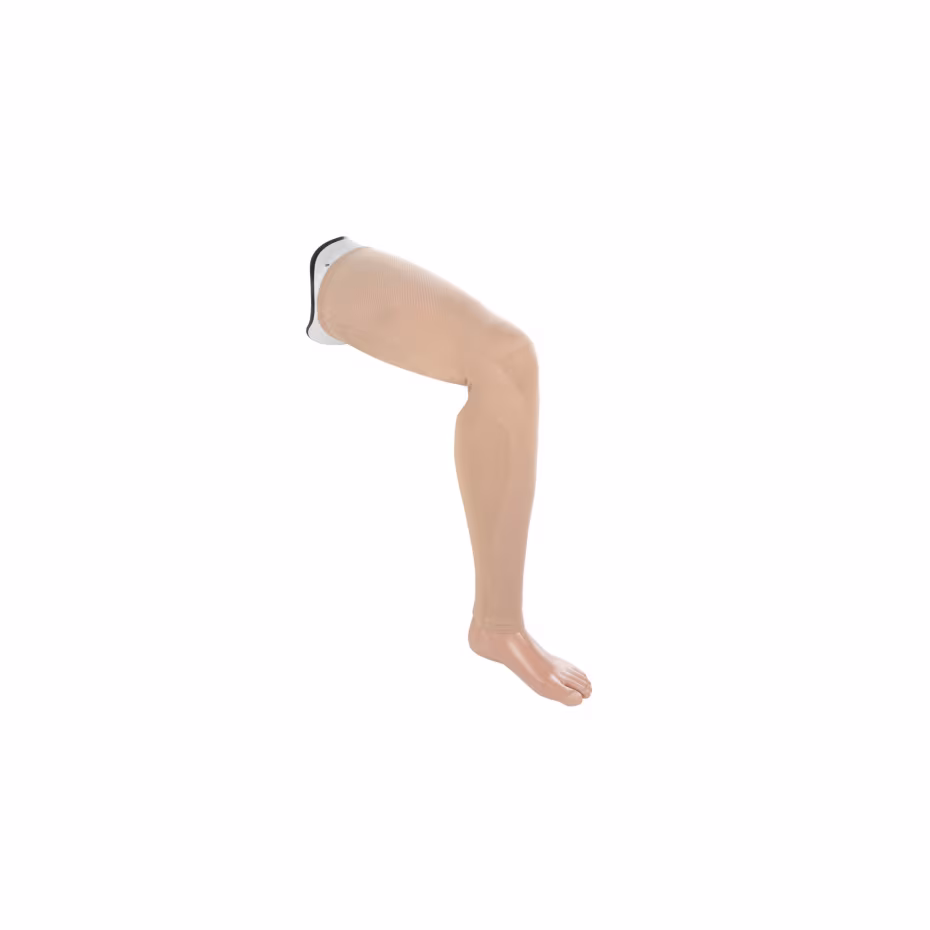 Prosthetic covers-3F1--2-62626