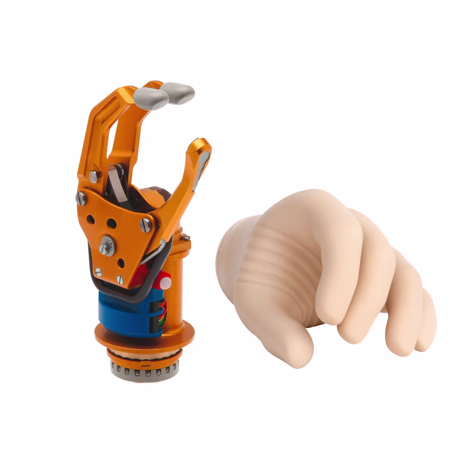 Hand prosthetics-8E38--8-61019