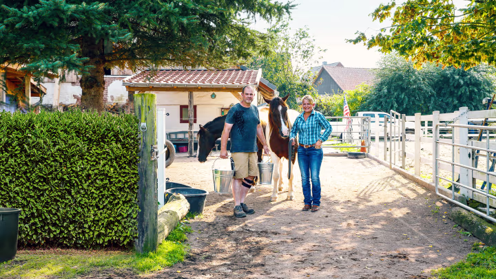 Dirk wearing his brace on the way to feed the horses.