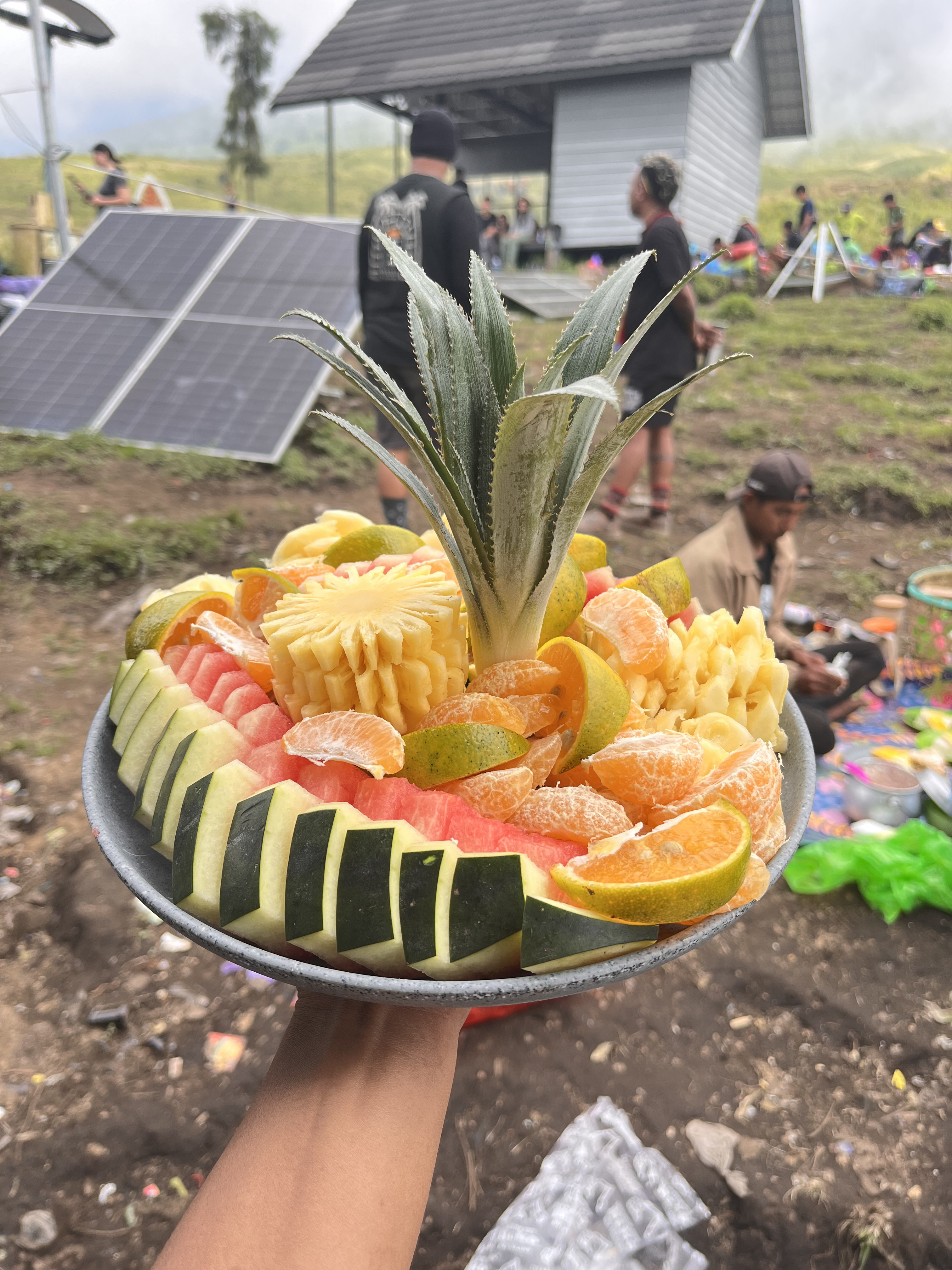 Fruits