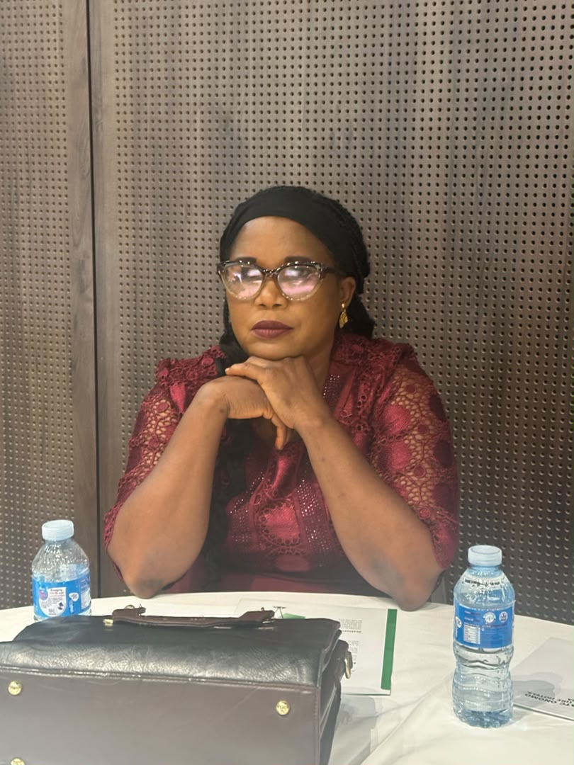 Health governance expert analyzing domestic revenue mobilization impact