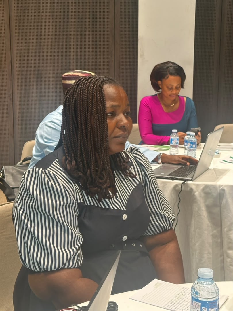 Session participants emphasizing sustainable health financing mechanisms