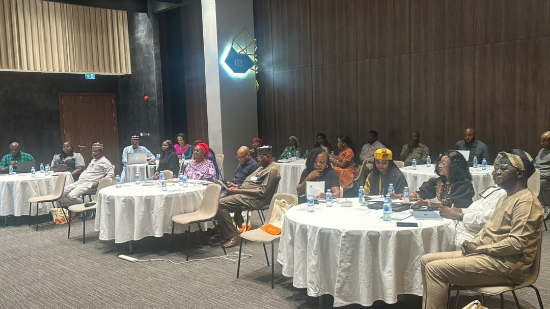 Plenary overview during the reading of the breakfast session communiqué