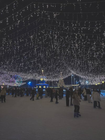 Have a Holly Jolly Christmas 🎄

20.12.2025