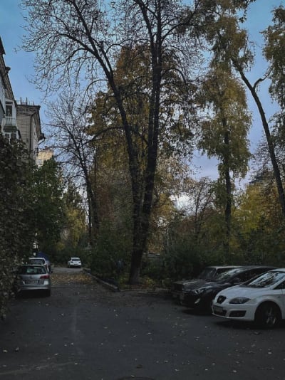 29.10.2024 / 06:55