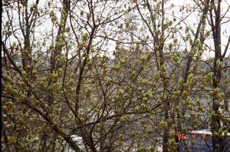 Photo from the Just Photos channel