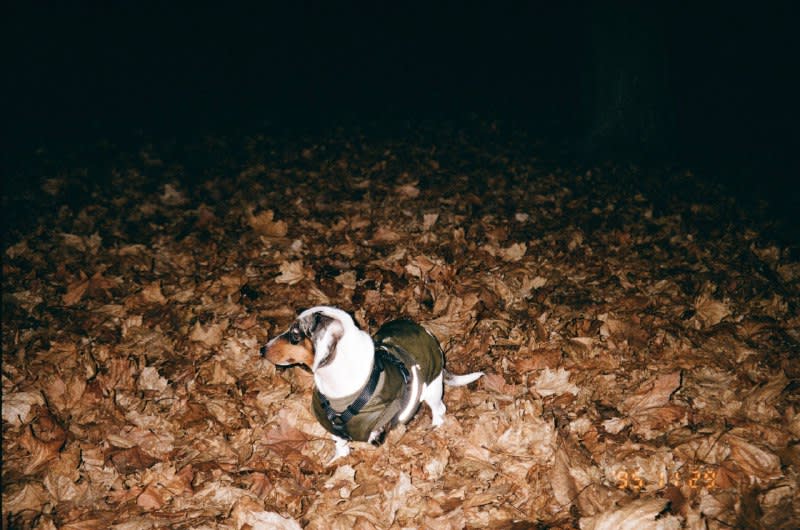 random film 📸